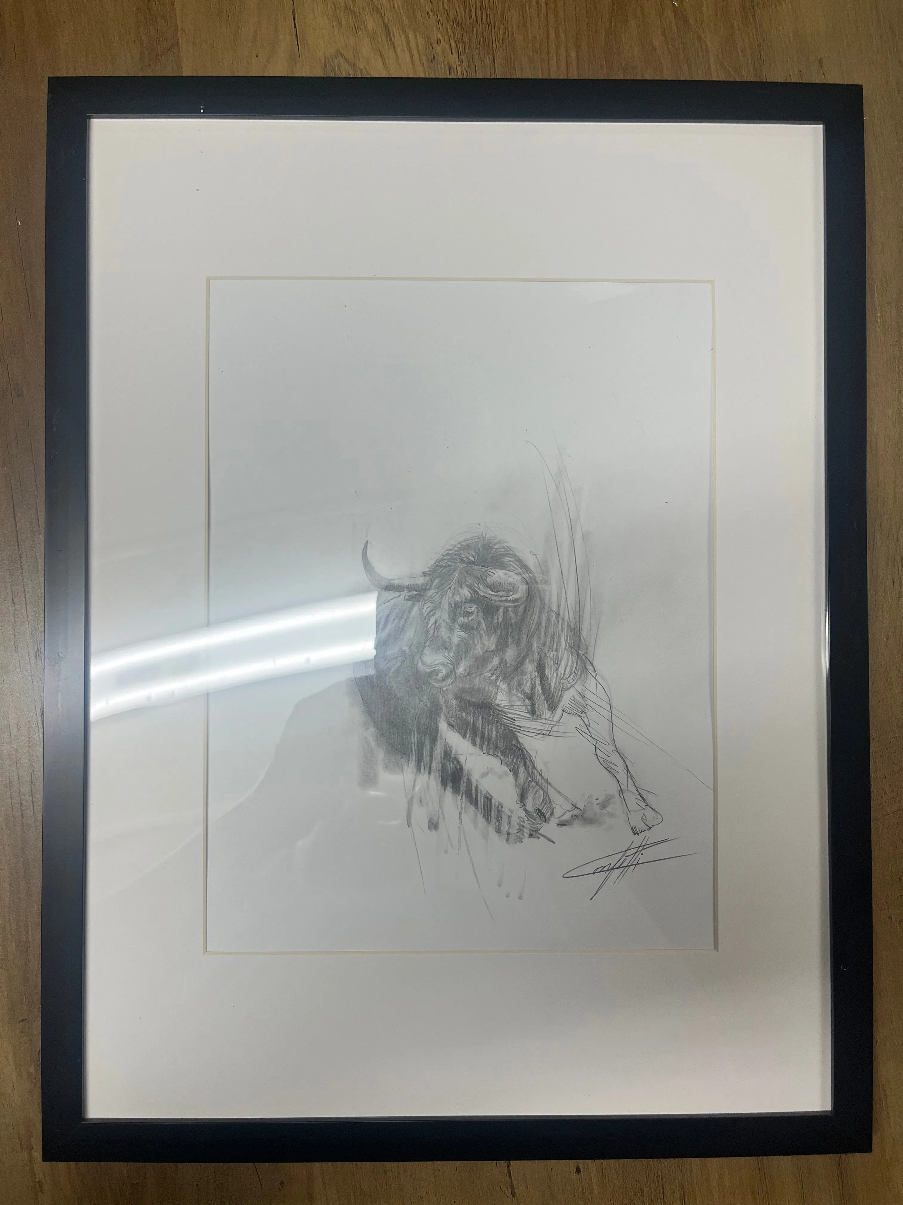 Animal sketch ''Thebull wallstreet study number 2'' of the artist Confetti in graphite pencil on paper