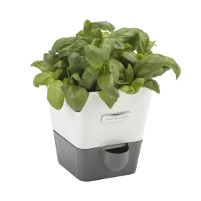 Cole & Mason Self Watering Herb Keeper Single