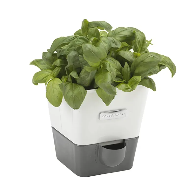 Cole & Mason Self Watering Herb Keeper Single