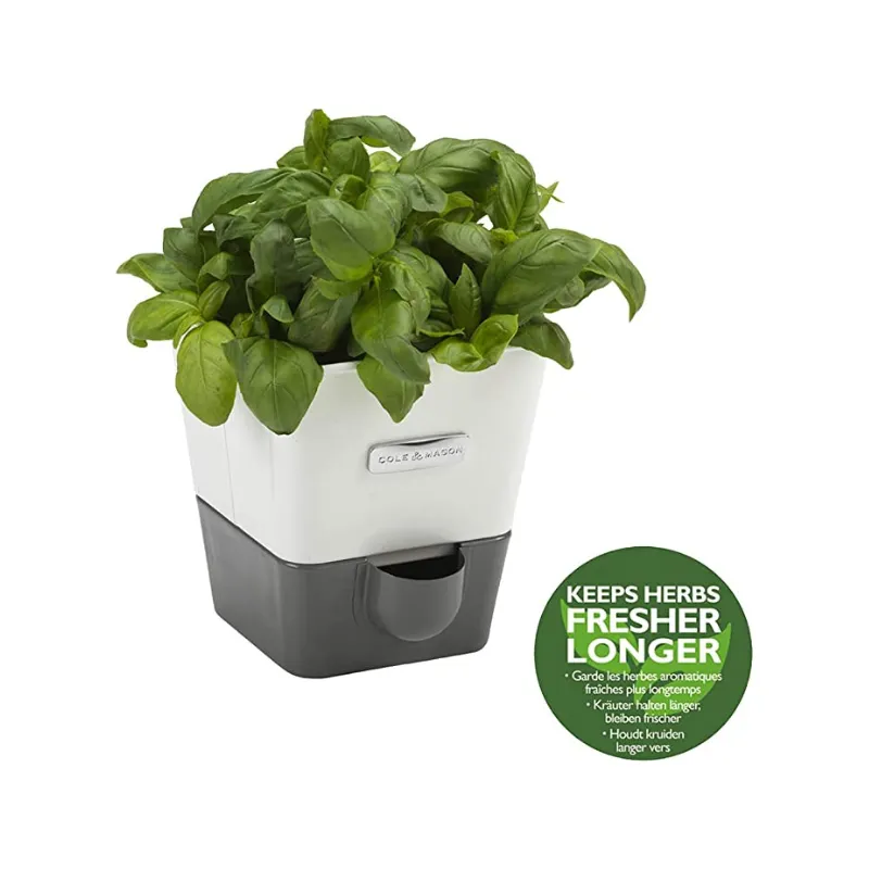 Cole & Mason Self Watering Herb Keeper Single