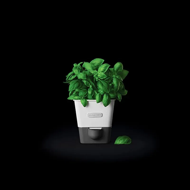 Cole & Mason Self Watering Herb Keeper Single