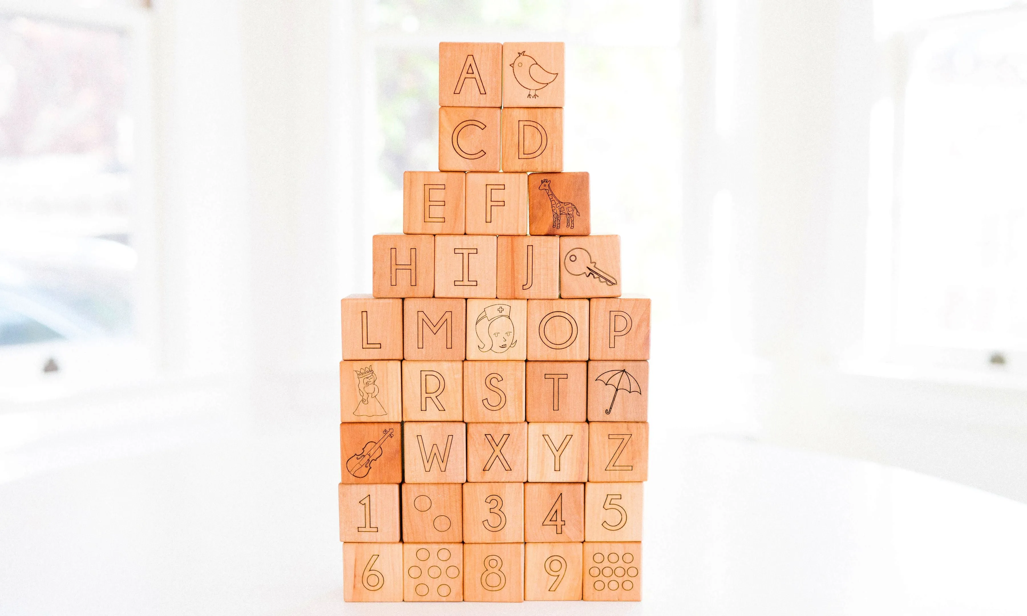 Deluxe Abc & 123 Blocks