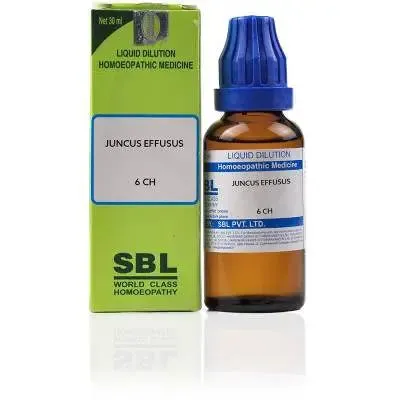 SBL Juncus Effusus
